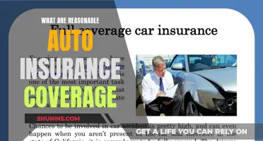 Auto Insurance Coverage: Choosing the Right Policy for You