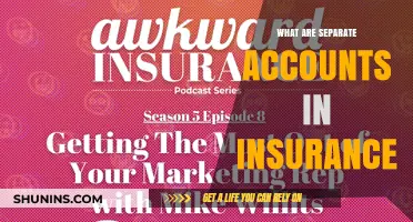 Understanding Insurance: Separate Accounts Explained