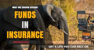 Shadow Account Funds: Insurance's Secret Money