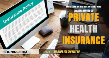Private Health Insurance: Pros, Cons, and Key Considerations
