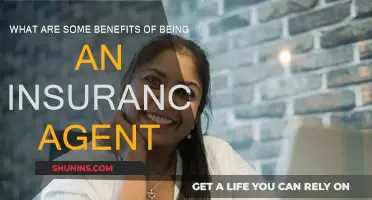 Lucrative Career: Insurance Agent Benefits
