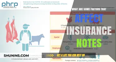 Insurance Notes: Factors Affecting Your Policy