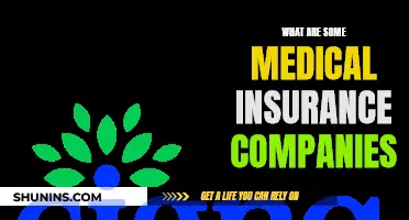 Top Medical Insurance Companies: Your Comprehensive Guide