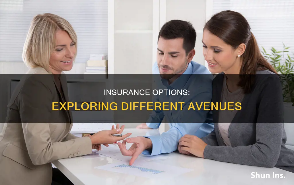 what are some of the ways people obtain insurance