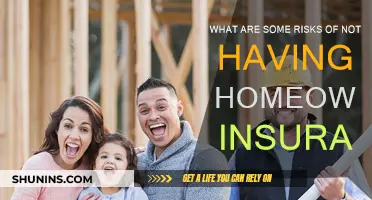 Homeowners Insurance: Protecting Your Home from Potential Risks