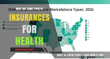 Exploring Essential Health Insurance Types for Comprehensive Coverage