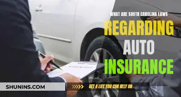 South Carolina Auto Insurance Laws: What You Need to Know