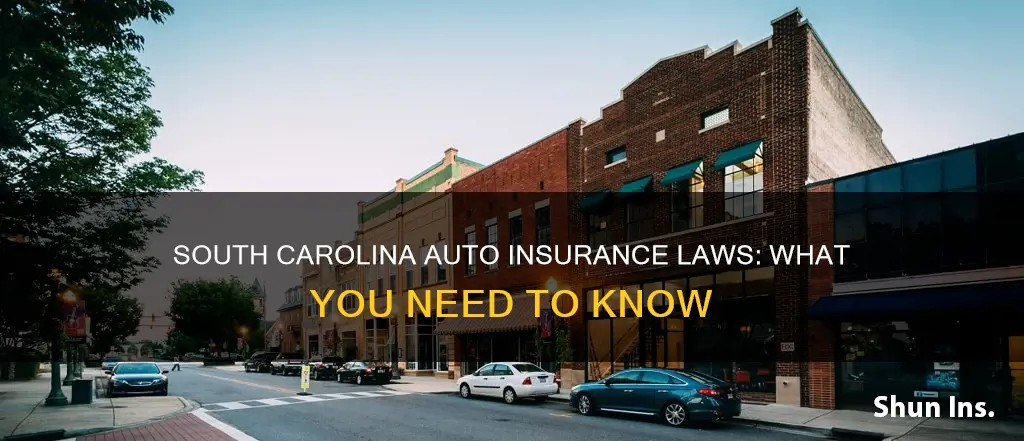 what are south carolina laws regarding auto insurance