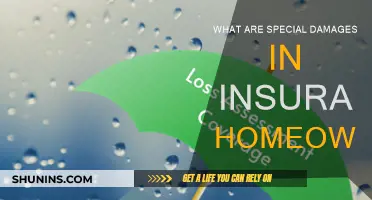 Understanding Special Damages in Homeowners Insurance Claims