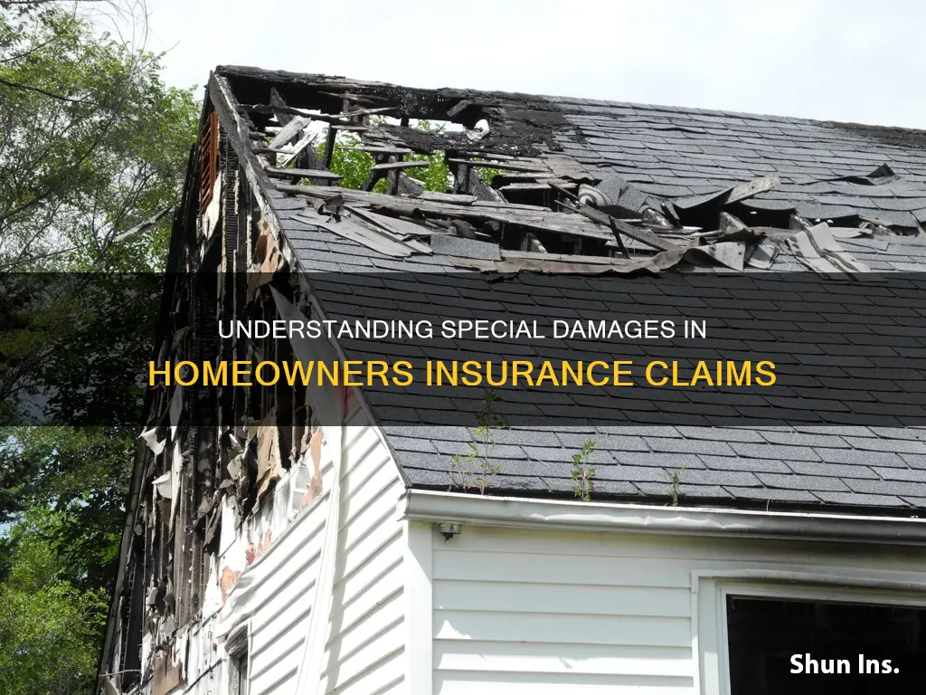 what are special damages in insurance homeowners