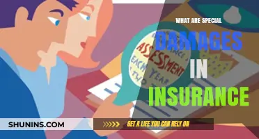 Understanding Special Damages in Insurance Claims: Key Insights Explained