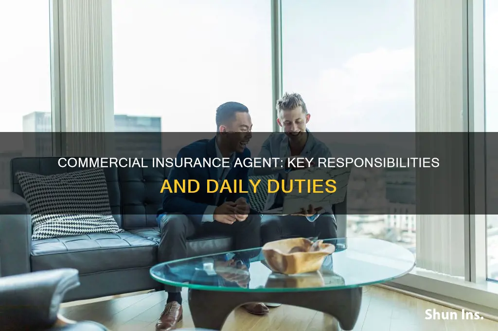 what are specific responsibilities of a commercial insurance agent