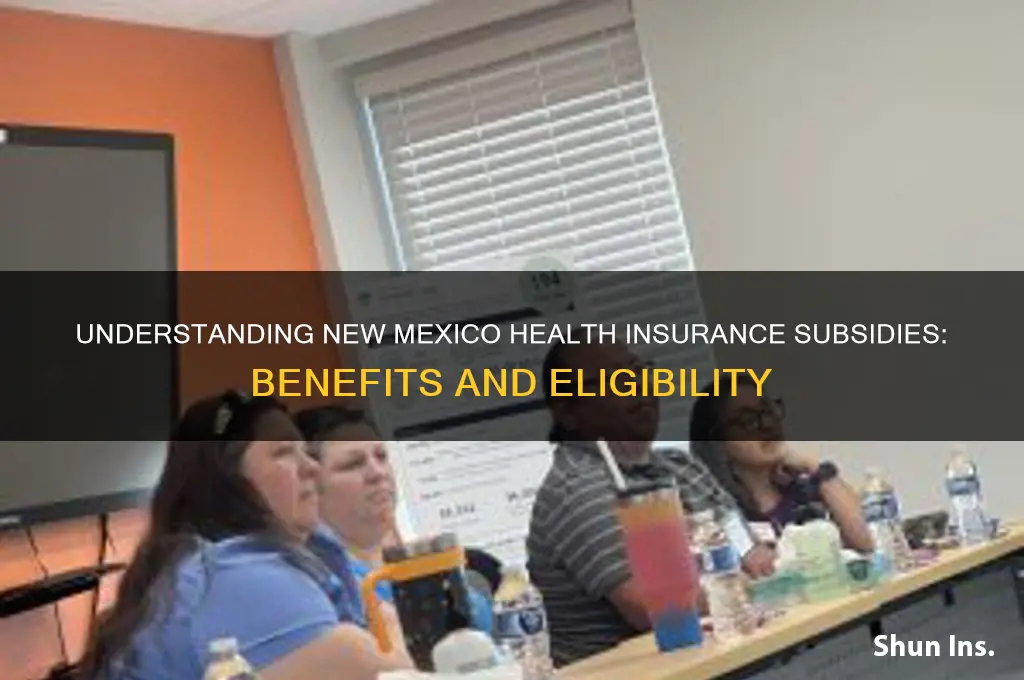 what are subsidies for nm health insurance