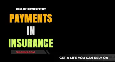 Supplementary Insurance Payments: What You Need to Know