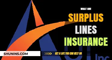 Understanding Surplus Lines Insurance: Coverage Beyond Standard Policies Explained