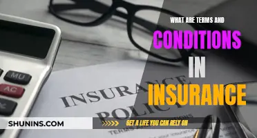 Understanding the Fine Print: Navigating Insurance Policies and Their Terms and Conditions