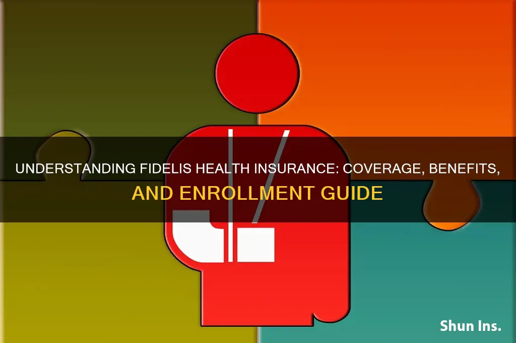 what are th fidelis health insurance