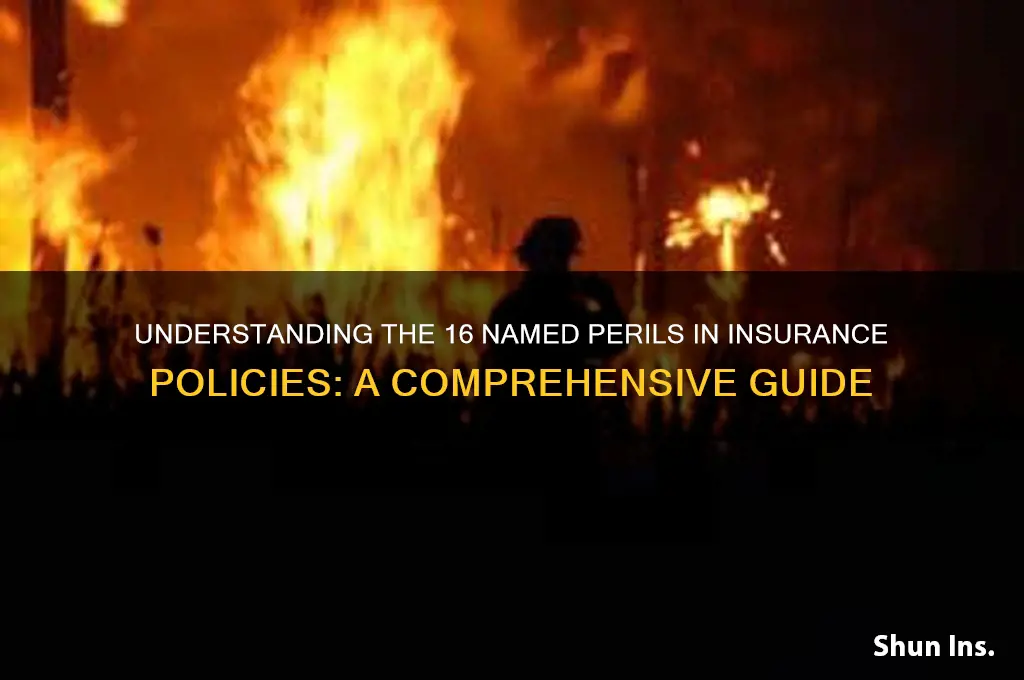 what are the 16 named perils in insurance