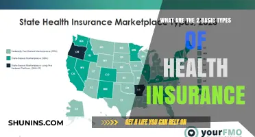 Understanding Health Insurance: Two Fundamental Types Explained Simply