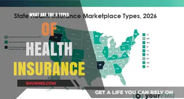 Understanding the Three Main Types of Health Insurance Plans