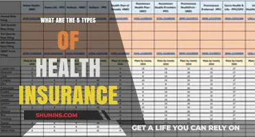 Understanding the Five Essential Types of Health Insurance Coverage