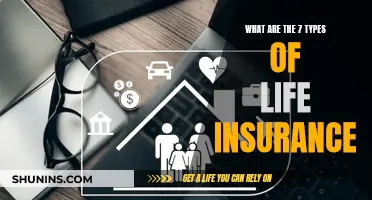 Understanding the Diverse World of Life Insurance Options