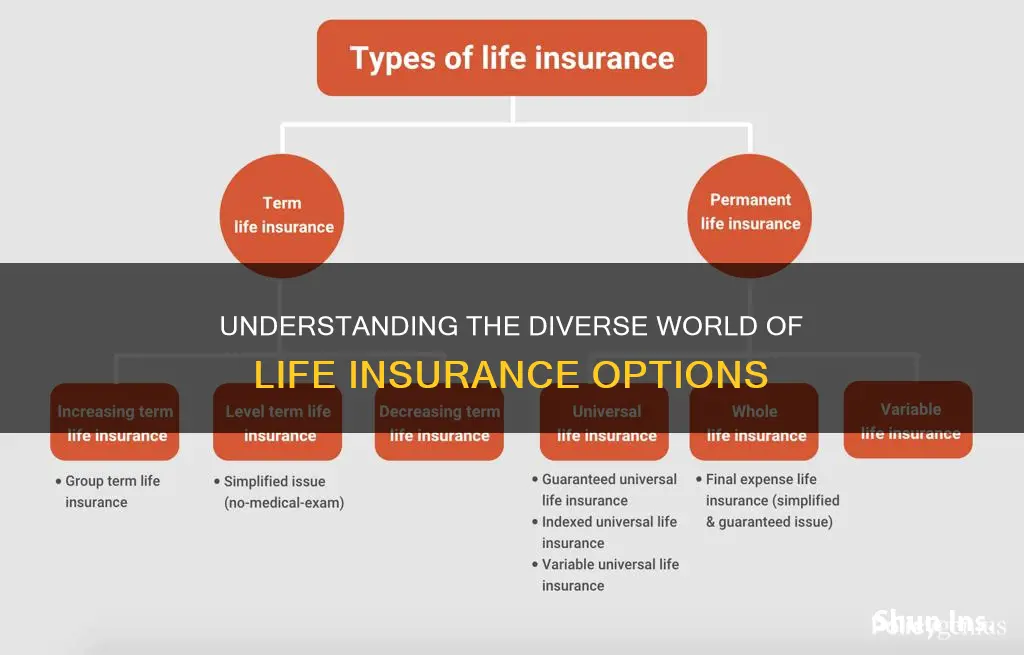 what are the 7 types of life insurance