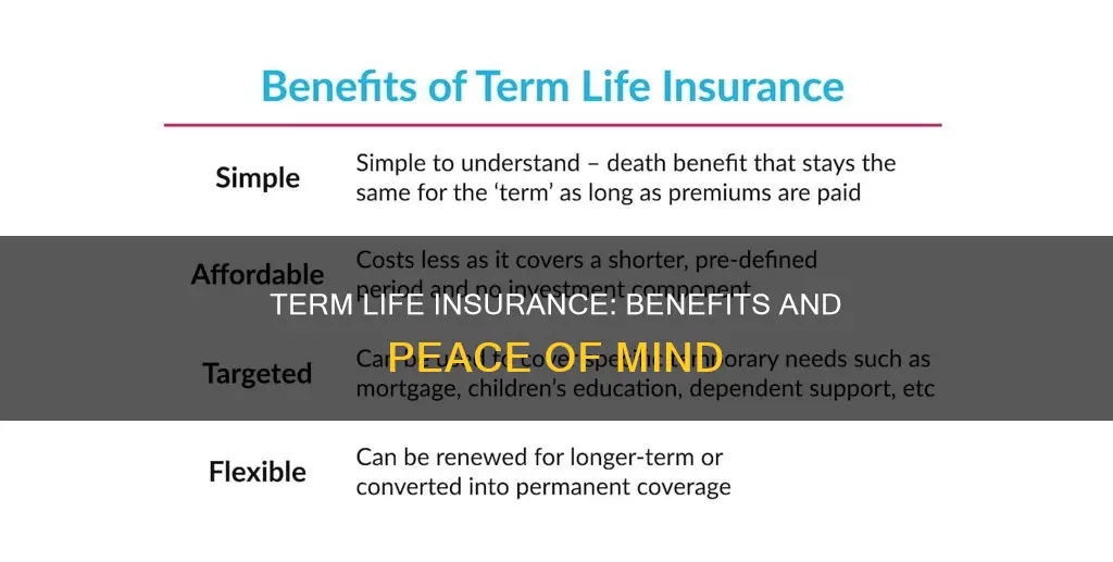 what are the advantages of term life insurance