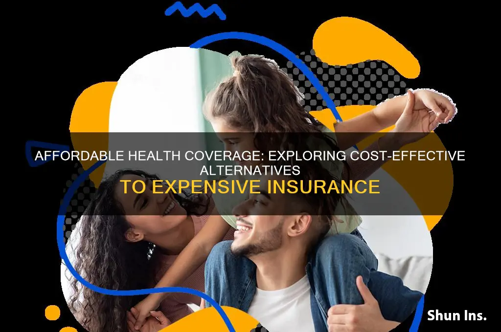 what are the alternatives to expensive health insurance