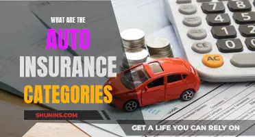 Understanding Auto Insurance: Exploring Coverage Categories