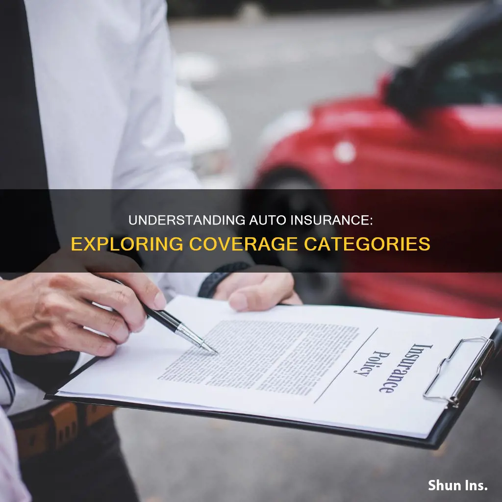 what are the auto insurance categories