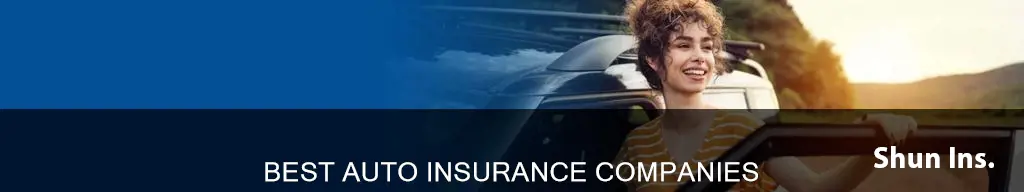 what are the auto insurance companies in rhode island