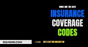 Understanding Auto Insurance Coverage with Policy Codes