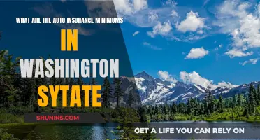 Insurance Minimums: Washington State's Essential Auto Coverage Requirements