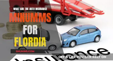 Florida Auto Insurance: Understanding the Minimum Coverage Requirements