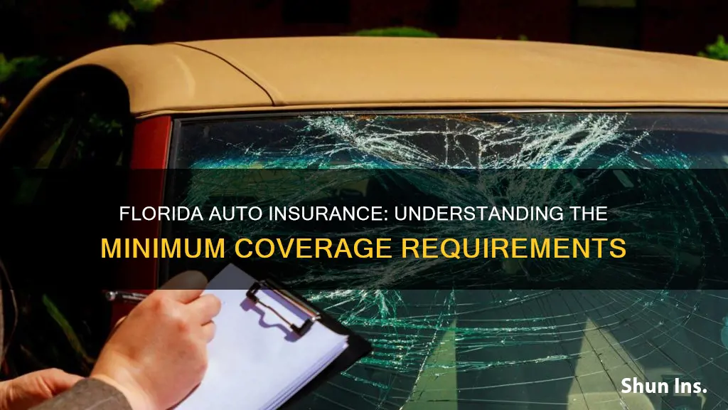 what are the auto insurance minumms for flordia