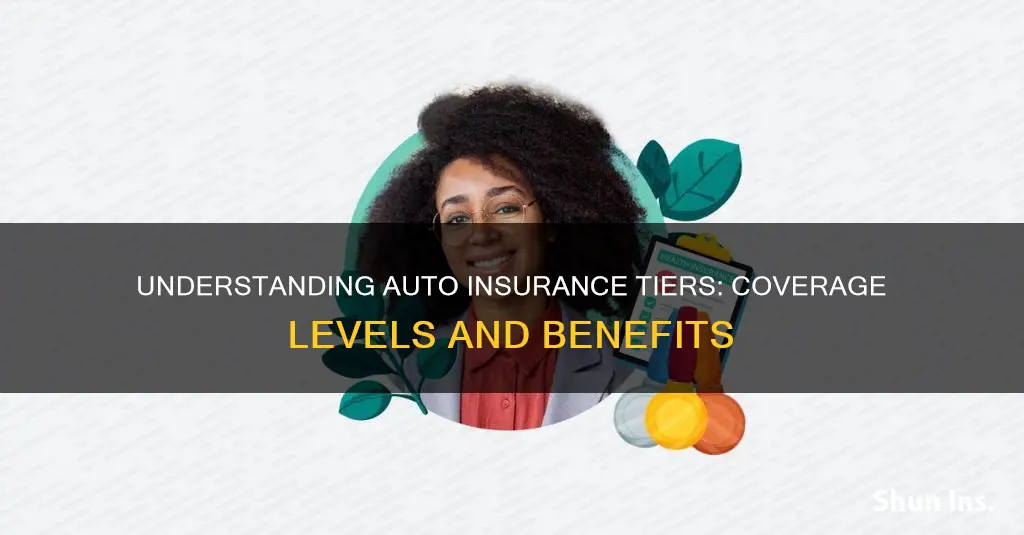 what are the auto insurance policy tiers