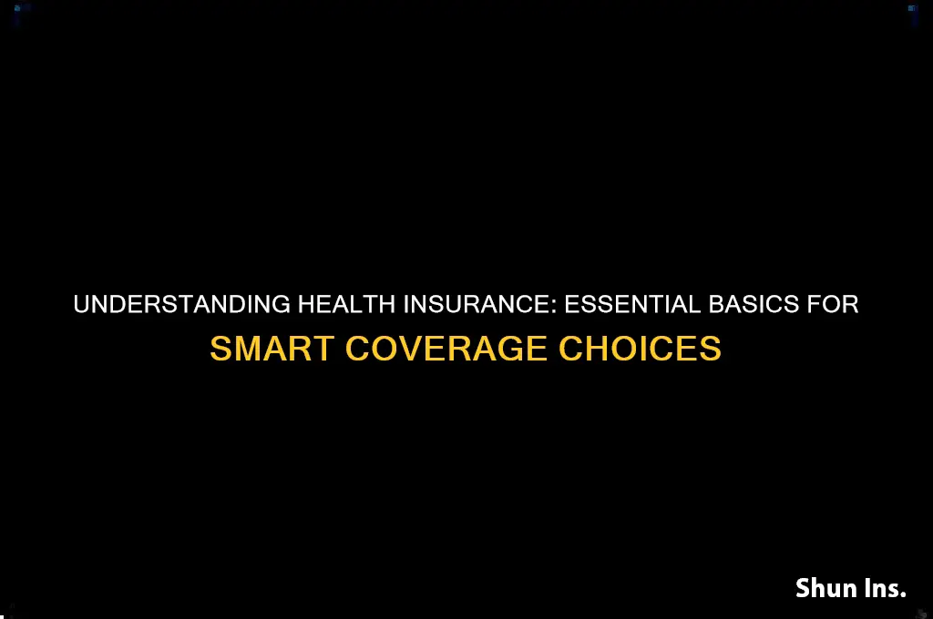 what are the basics of health insurance