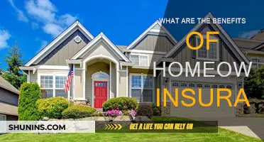 Homeowners Insurance: Peace of Mind and Financial Protection