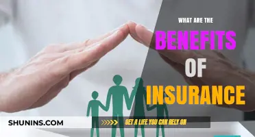Discover the Key Benefits of Insurance for Financial Security