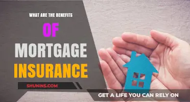 Mortgage Insurance: Protecting Your Home and Finances