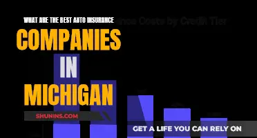 Best Auto Insurance Companies in Michigan: Top Picks