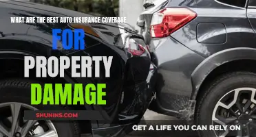 Best Auto Insurance Coverage for Property Damage Protection