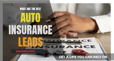 Best Auto Insurance Leads: Effective Strategies for Agents