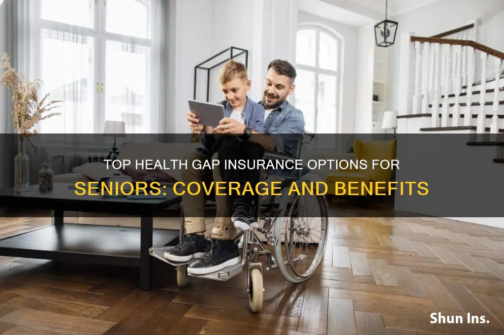 what are the best health gap insurance for seniors