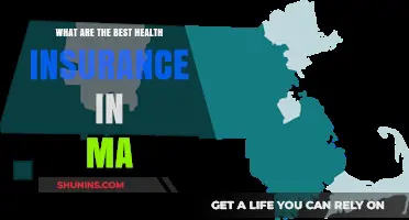 Top Health Insurance Plans in Massachusetts: A Comprehensive Guide