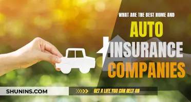 Home and Auto Insurance: Best Companies for Peace of Mind