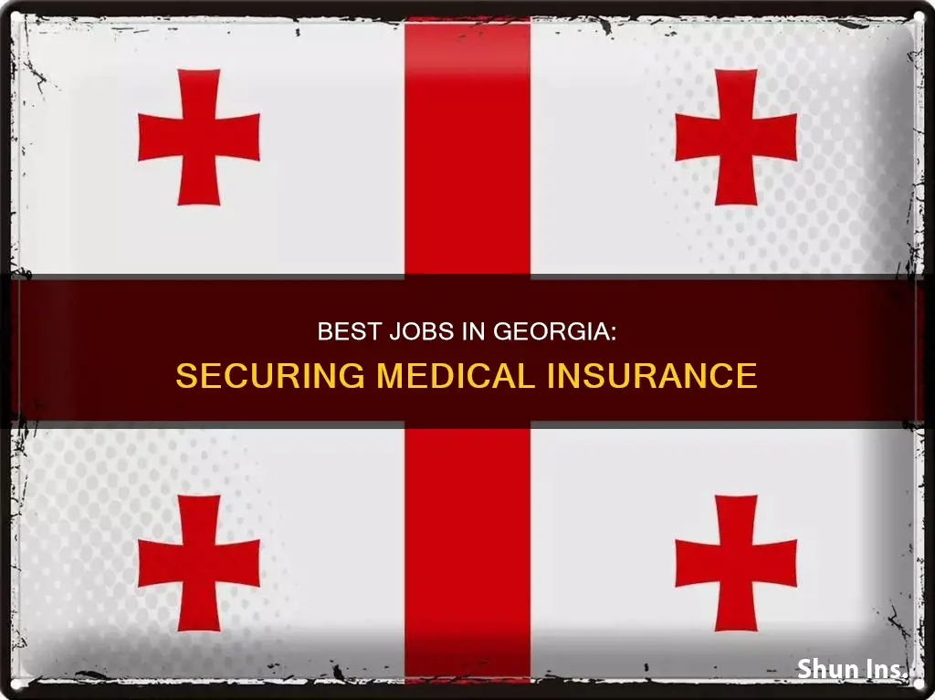 what are the best jobs with medical insurance in Georgia