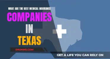 Top Medical Insurance Providers in Texas