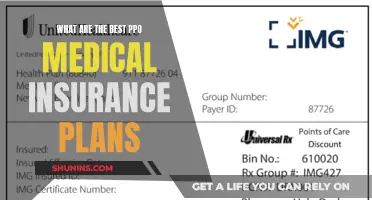 Top PPO Medical Insurance Plans: Best Options for You